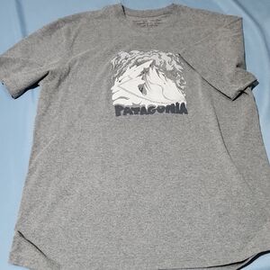 Patagonia Heather Gray Graphic Men's Tee